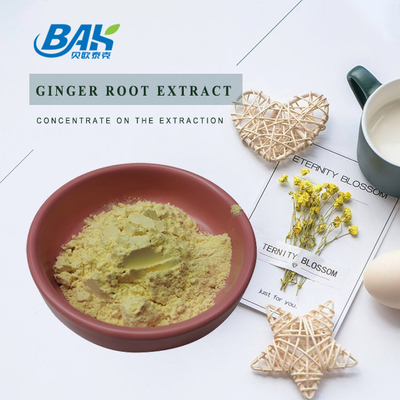 Ginger Root Extract Nutrient Supplement Powder 1% - 10% Gingerol Powder