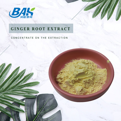Ginger Root Extract Nutrient Supplement Powder 1% - 10% Gingerol Powder