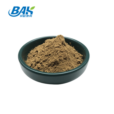 Nutritional Liver Protection Supplement Yerba Mate Extract Powder 10:1