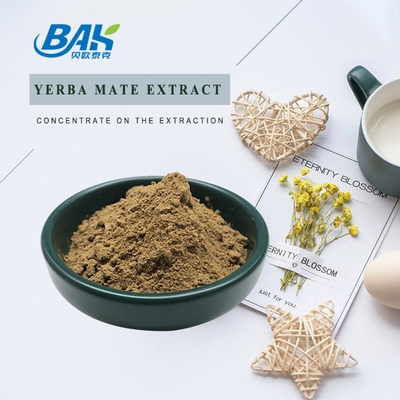 Nutritional Liver Protection Supplement Yerba Mate Extract Powder 10:1