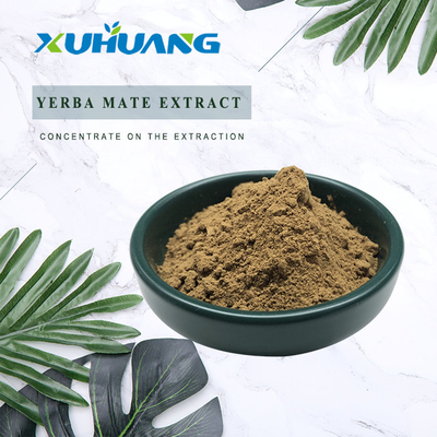 Nutritional Liver Protection Supplement Yerba Mate Extract Powder 10:1