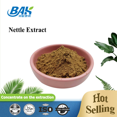 0.8% Nettle Extract Nutrient Supplement Powder 100% Pass 80 Mesh