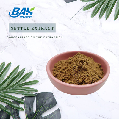 0.8% Nettle Extract Nutrient Supplement Powder 100% Pass 80 Mesh