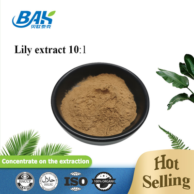 10:1 Mushroom Extract Supplement Lily Root Extract Light Yellow Powder