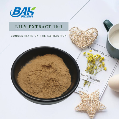 10:1 Mushroom Extract Supplement Lily Root Extract Light Yellow Powder