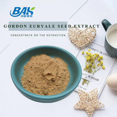 Halal Mushroom Extract Supplement Gordon Euryale Seed Extract 10:1