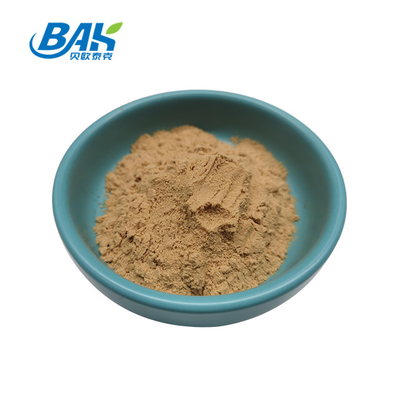 Halal Mushroom Extract Supplement Gordon Euryale Seed Extract 10:1