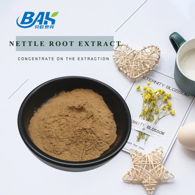 high quality nettle leaf extract 1.2% silica Organic Food Grade nettle root extract Powder