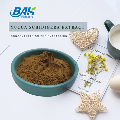 Yucca Schidigera Extract Nutrient Supplement Powder 30% - 60% Sarsaponin