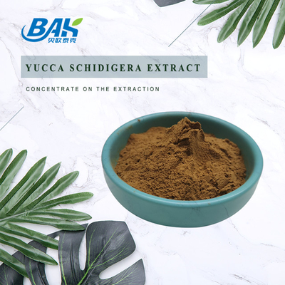 Yucca Schidigera Extract Nutrient Supplement Powder 30% - 60% Sarsaponin