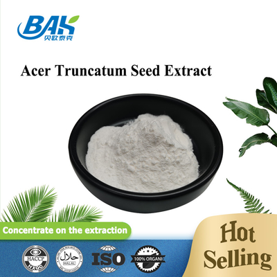 Nervonic Acid Nutrient Supplement Powder Acer Truncatum Seed Extract CAS 506-37-6