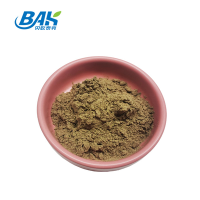 Ajuga Turkestanica Extract Turkesterone Powder 20%