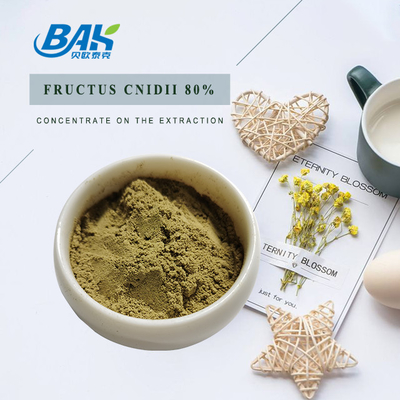 Halal Cnidium Monnieri Extract Fructus Cnidii 80% Powder