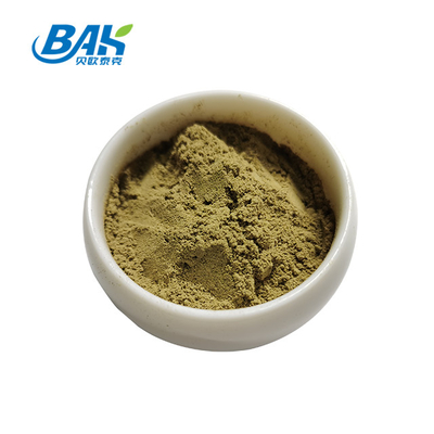 Halal Cnidium Monnieri Extract Fructus Cnidii 80% Powder