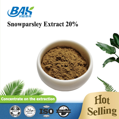 Nutraceuticals Cnidium Monnieri Extract Snowparsley Extract 20%