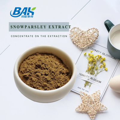 Nutraceuticals Cnidium Monnieri Extract Snowparsley Extract 20%