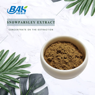 Nutraceuticals Cnidium Monnieri Extract Snowparsley Extract 20%
