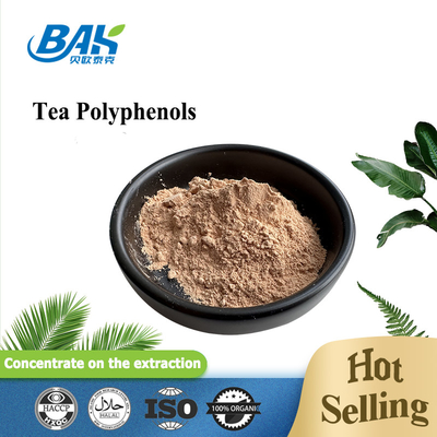 Bulk Liver Protection Supplement Tea Polyphenols 98% Powder