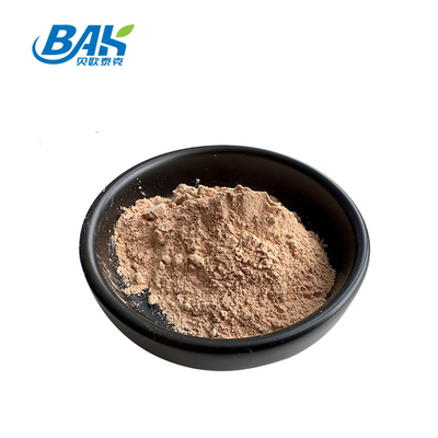 Bulk Liver Protection Supplement Tea Polyphenols 98% Powder