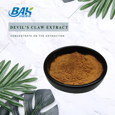 Nutrient Supplement Powder Devil ' S Claw Extract Harpagoside Powder