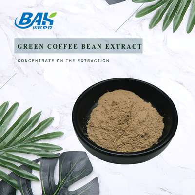 10% - 70% Chlorogenic Acid Nutrient Supplement Powder Green Coffee Bean Extract