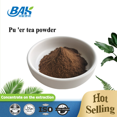 Bulk Wholesale Water Soluble Pu Er Tea Powder BAK Instant Tea Powder