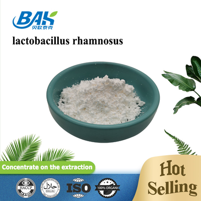 BAK Natural Food Additives Lactobacillus Rhamnosus Powder