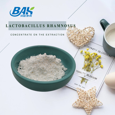 Lactobacillus Rhamnosus Powder Natural Food Additives 1kg/Foil bag