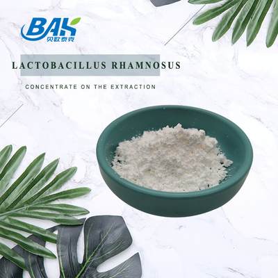 Lactobacillus Rhamnosus Powder Natural Food Additives 1kg/Foil bag