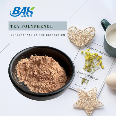 Bulk Liver Protection Supplement Tea Polyphenols 98% Powder