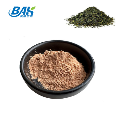 Green Tea Extract Natural Food Additives Tea Polyphenol 98%