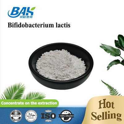 Bifidobacterium Lactis Natural Food Additives Powder 100B / 200B CFU/G