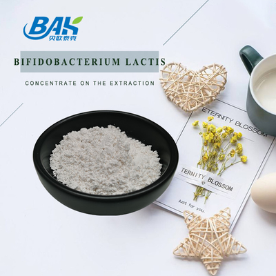 Bifidobacterium Lactis Natural Food Additives Powder 100B / 200B CFU/G