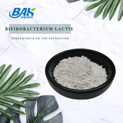Bifidobacterium Lactis Natural Food Additives Powder 100B / 200B CFU/G