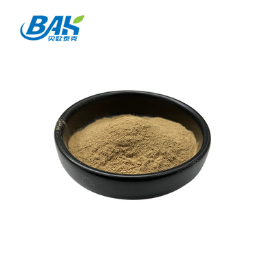 Mushroom Inonotus Obliquus Extract Supplement Powder 5:1 10:1 20:1