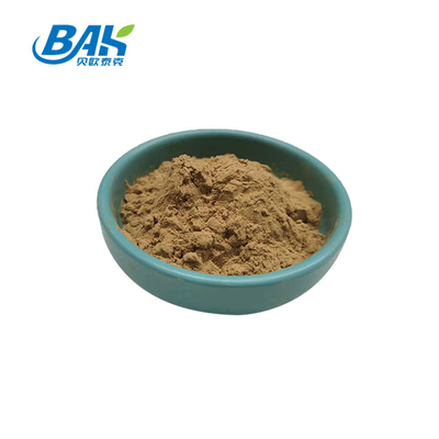 10% - 50% Mushroom Extract Supplement Antrodia Cinnamomea Extract Polysaccharides