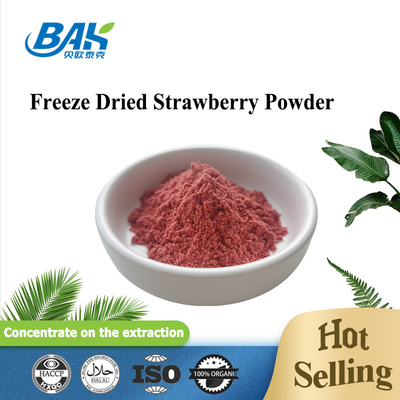 Natural Fruit And Vegetable Powders Freeze Dried Strawberry Powder 95% Pass 80 Mesh