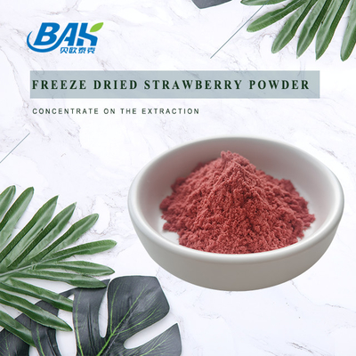 Natural Fruit And Vegetable Powders Freeze Dried Strawberry Powder 95% Pass 80 Mesh