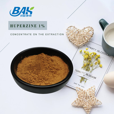 Huperzia Serrata Extract Immune Enhancing Supplements Huperzine-A Powder 1% - 99%