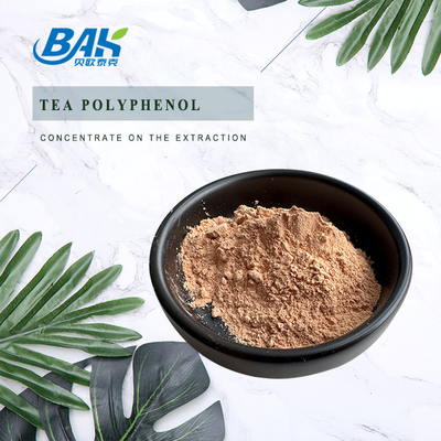 Bulk Liver Protection Supplement Tea Polyphenols 98% Powder