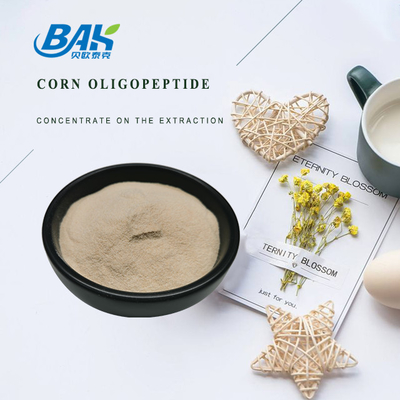 90% Peptide Protein Powder Food Grade Corn Oligopeptide Powder