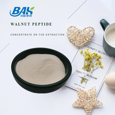 60% 70% Walnut Peptide Protein Powder For Medicines And Health Products