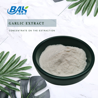 Garlic Extract 1% - 5% Allicin Powder Immune Enhancing Supplements Antibacterial