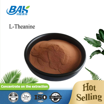 20% - 98% L-Theanine Green Tea Extract Powder Boost Immunity