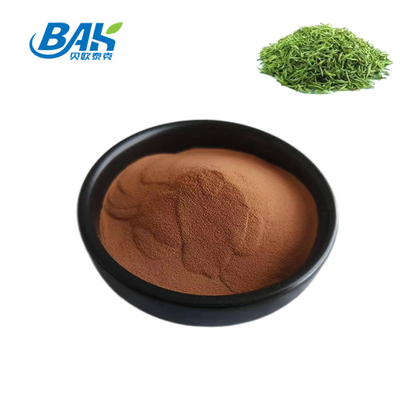 20% - 98% L-Theanine Green Tea Extract Powder Boost Immunity