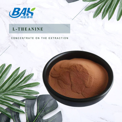 20% - 98% L-Theanine Green Tea Extract Powder Boost Immunity