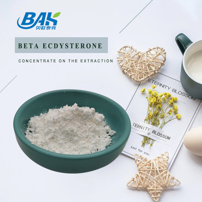 Beta Ecdysterone 90% 95% Nutrient Supplement Powder