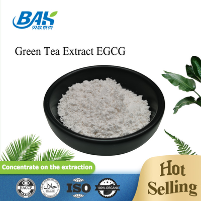 CAS 989-51-5 Green Tea Extract EGCG Epigallocatechin Gallate White Powder 98%