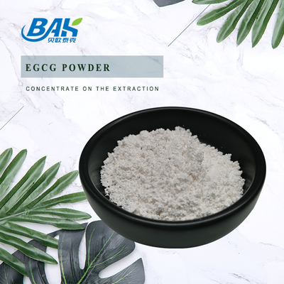 CAS 989-51-5 Green Tea Extract EGCG Epigallocatechin Gallate White Powder 98%