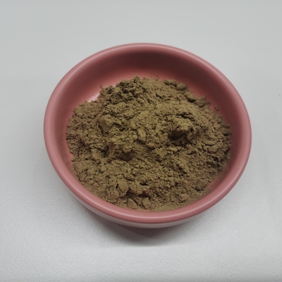 Organic Factory Selling Ajuga Turkestanica Extract 2%-20% powder